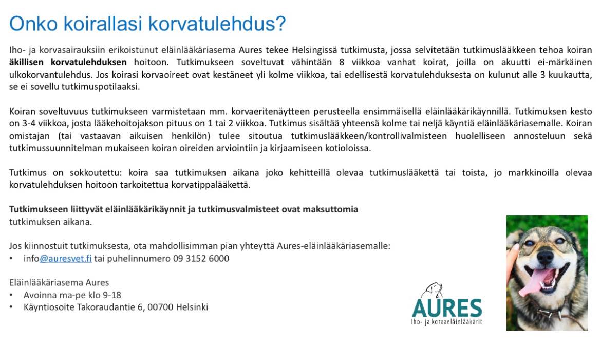 korvatutkimus korvatulehdus